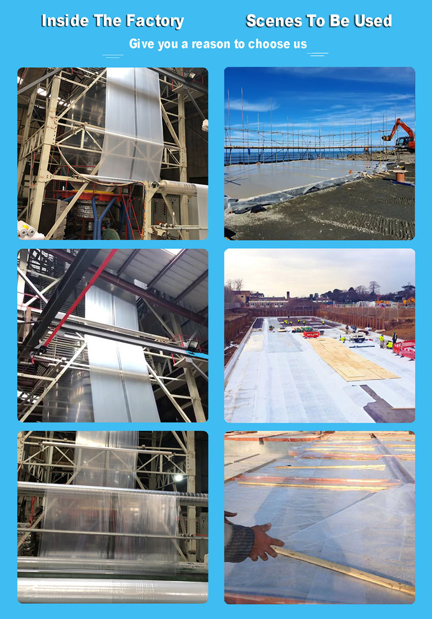 PE Films Factory and Application Fields PE Films Factory and Application Fields